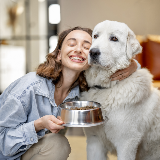 La Importancia de la Alimentación Balanceada para tu Perro