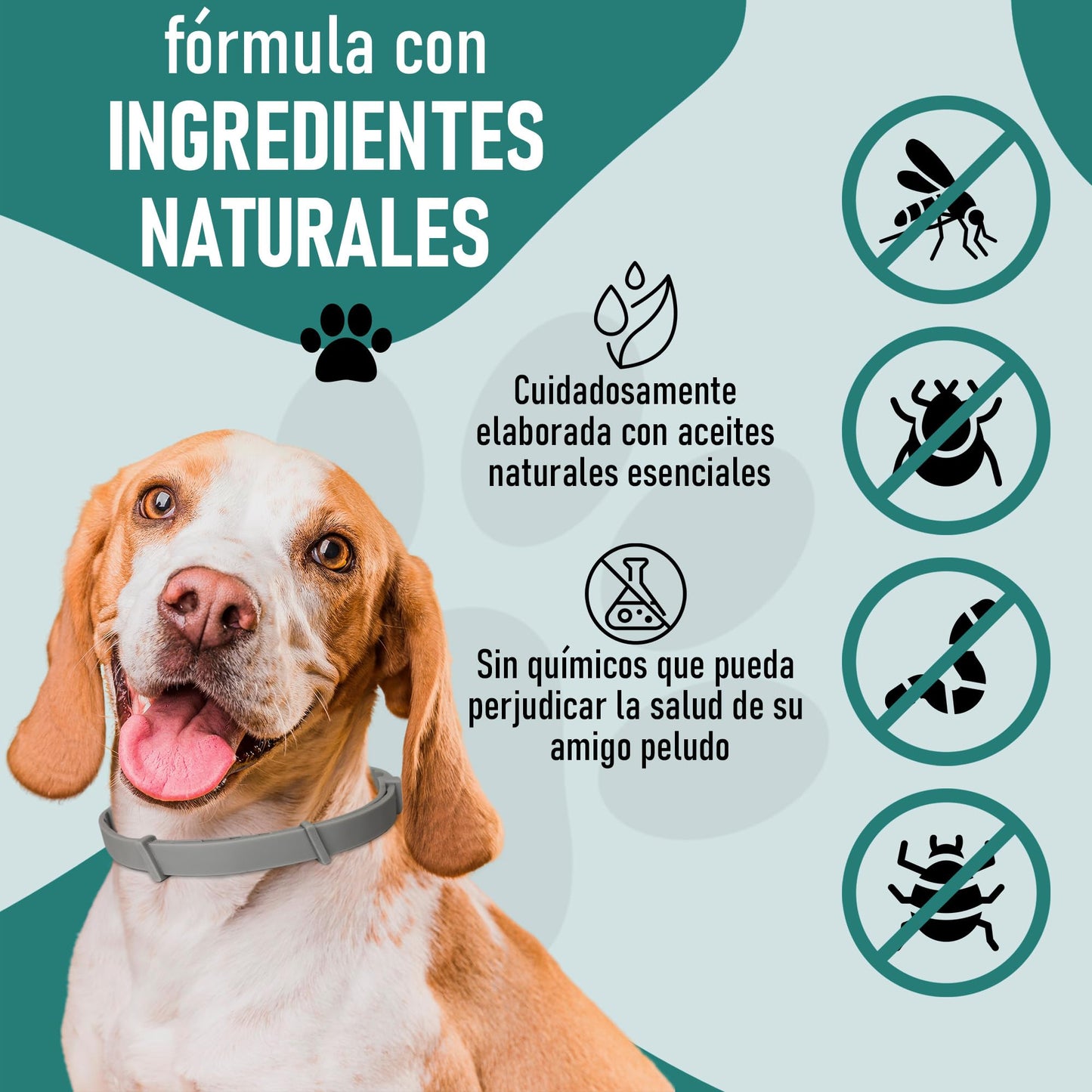 Collar Antiparasitario antipulgas y garrapatas para Perros