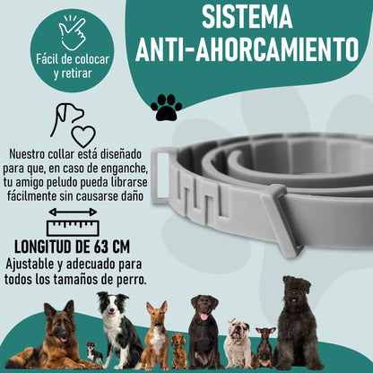 Collar Antiparasitario antipulgas y garrapatas para Perros